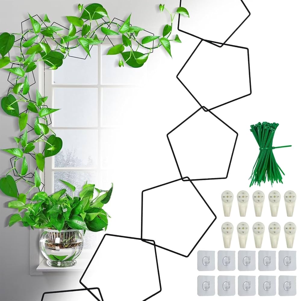 ラディアン　オトガ　ランチョン　コリヴス、アレスト Amazon | SENIURIS ペンタゴンチェーントレリス つる植物用 観葉