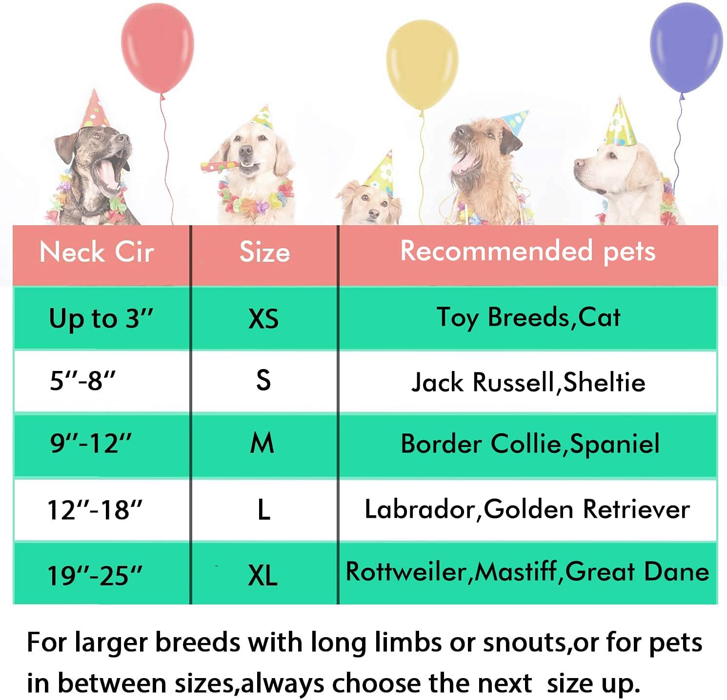 balloon cone for dogs