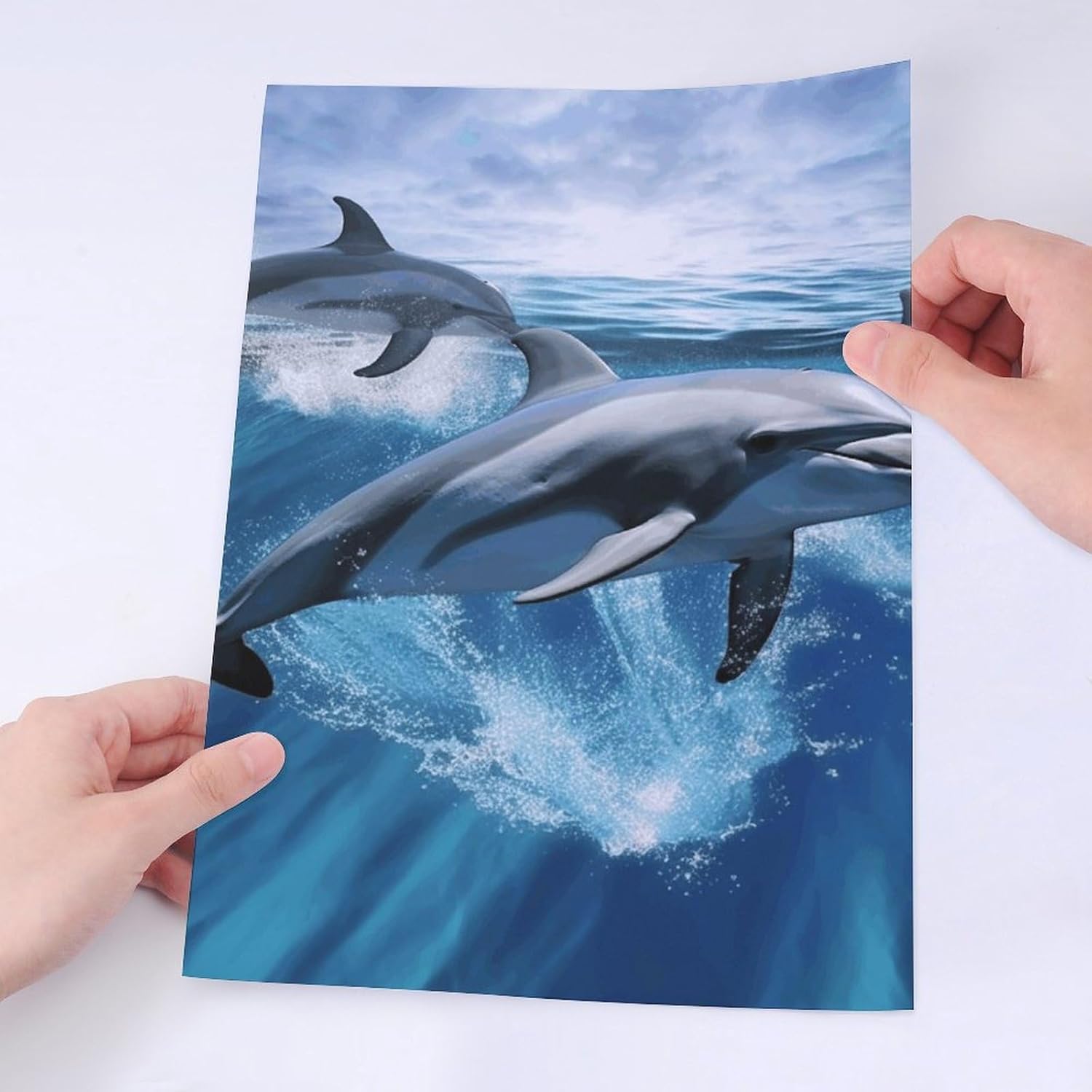 Cute Stickers Waterproof Funny Dolphins Stickers for Water Bottles Laptop Decor