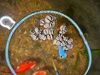 Review Image by william lin william lin