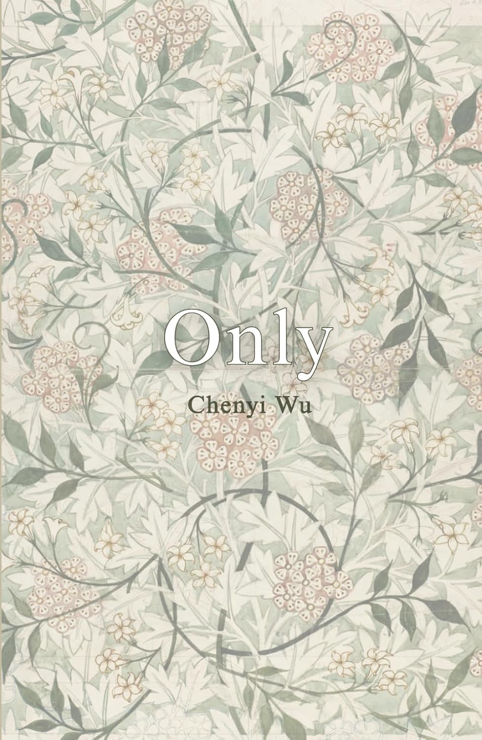 Only      Hardcover – February 15, 2026