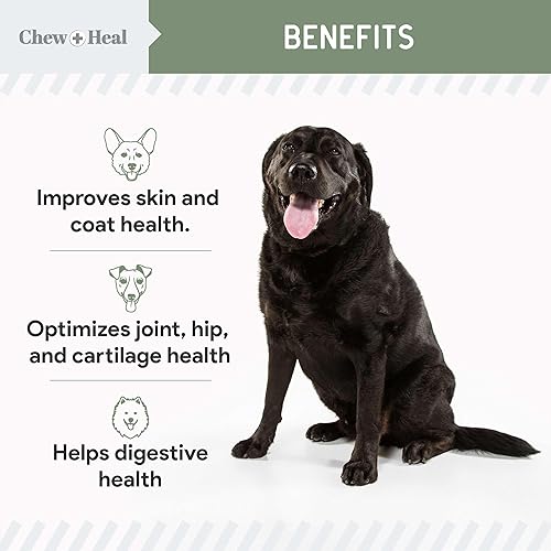 Miniatura 10 de Chew  Heal All in 1 Vitamina para perro 2 unidades 240 golosinas masticables suaves multivitamínico masticable con probióticos enzimas digestivas