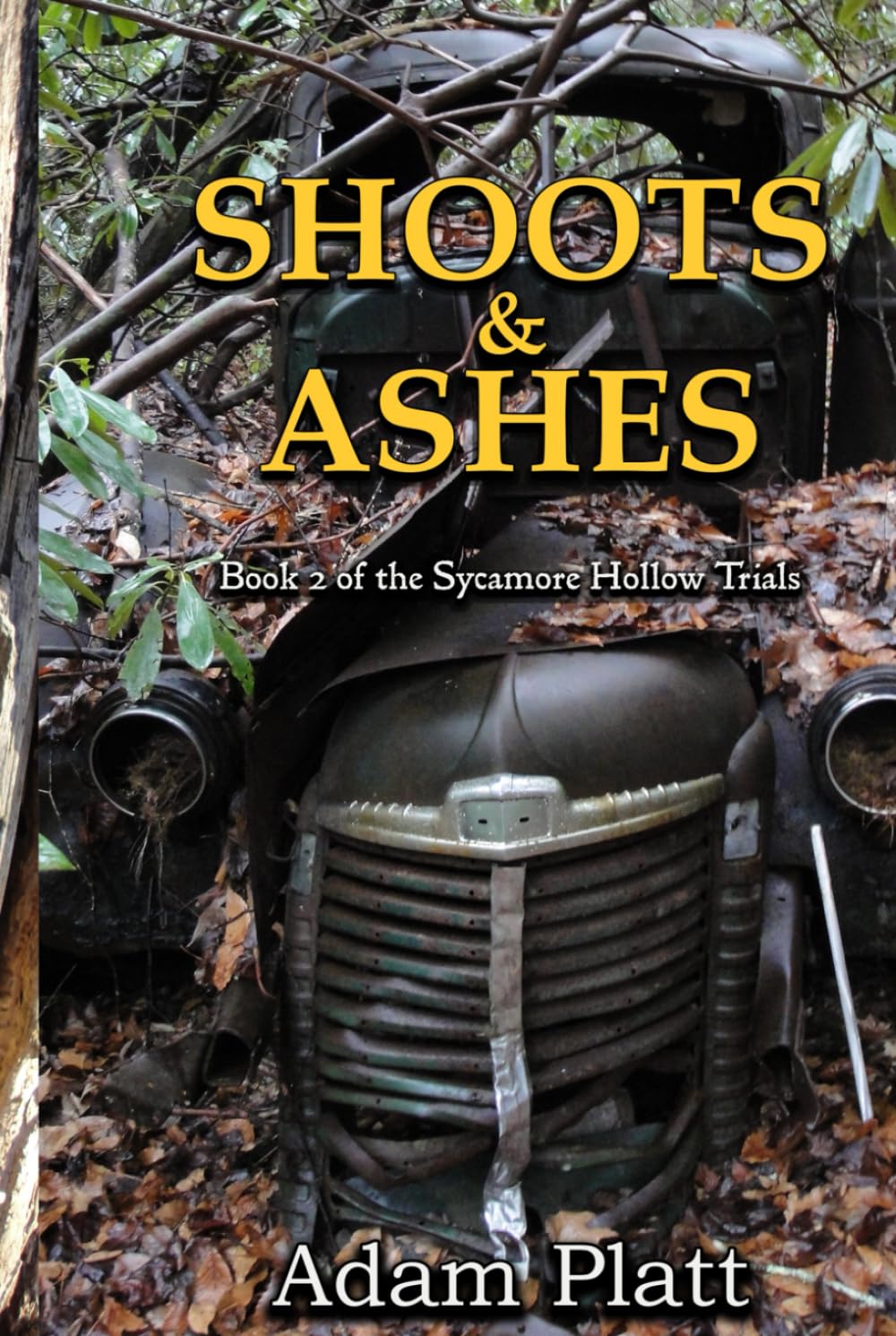 Shoots and Ashes: Book 2 of the Sycamore Hollow Trials