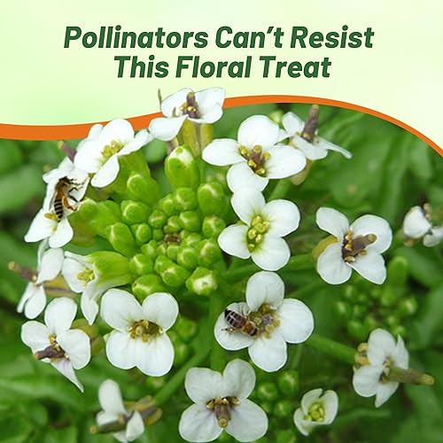 Miniatura 7 de Watercress Blanco