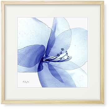 絵画 インテリア 絵 額付(白) 油絵 uF6-112502 花 絵画 インテリア 絵 額付(白) 油絵 uF6-112502 花 絵画