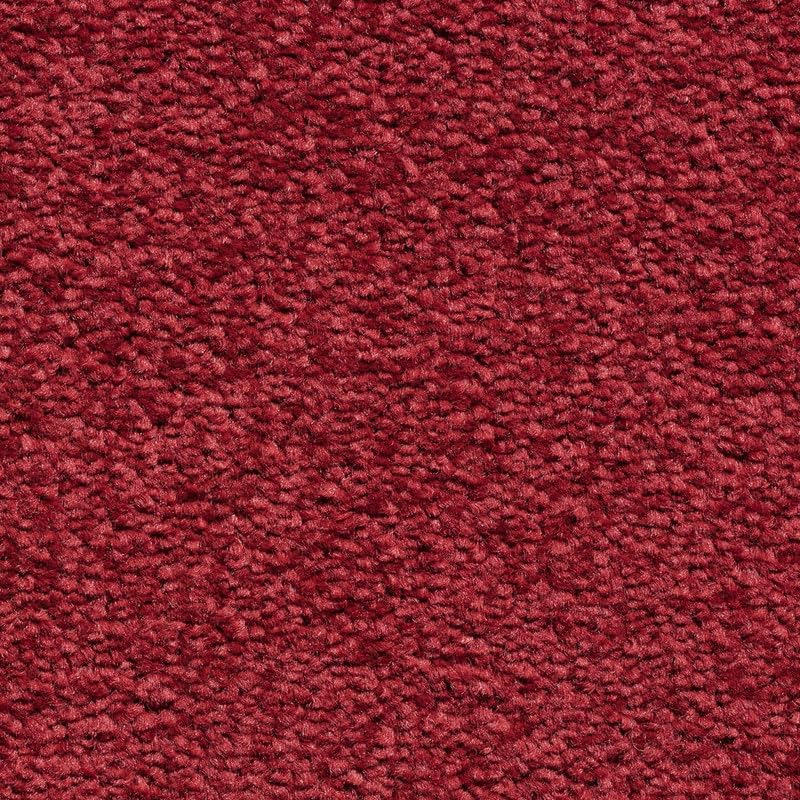 Tuda Carpet | Serene 10mm Pile Saxony Carpet with Action Backing, 12mm Total Height | Claret (20) - 4m x 5m (13ft1" x 16ft4") โ image 1