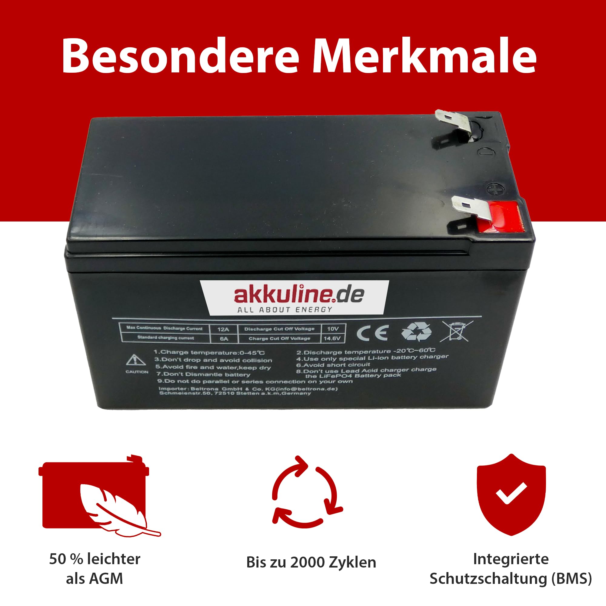 Ersatzakku kompatibel mit Teufel ROCKSTER AIR – auslaufsicher & wartungsfrei, LiFePO4, 12V 9Ah