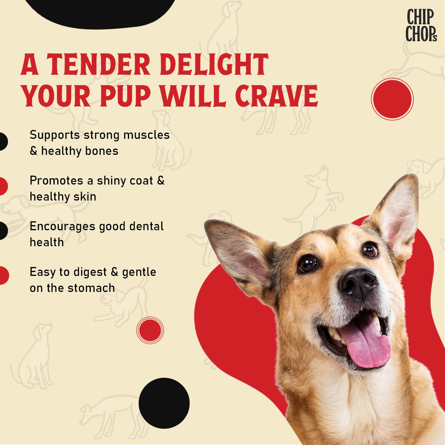 Chip Chops Sun Dried Chicken,Dog Treat, Easily Digestible, Healthy Dog Treat, Perfect for Snacks, Suitable for All Dog Breeds, Each 70gm (Pack of 7) 3