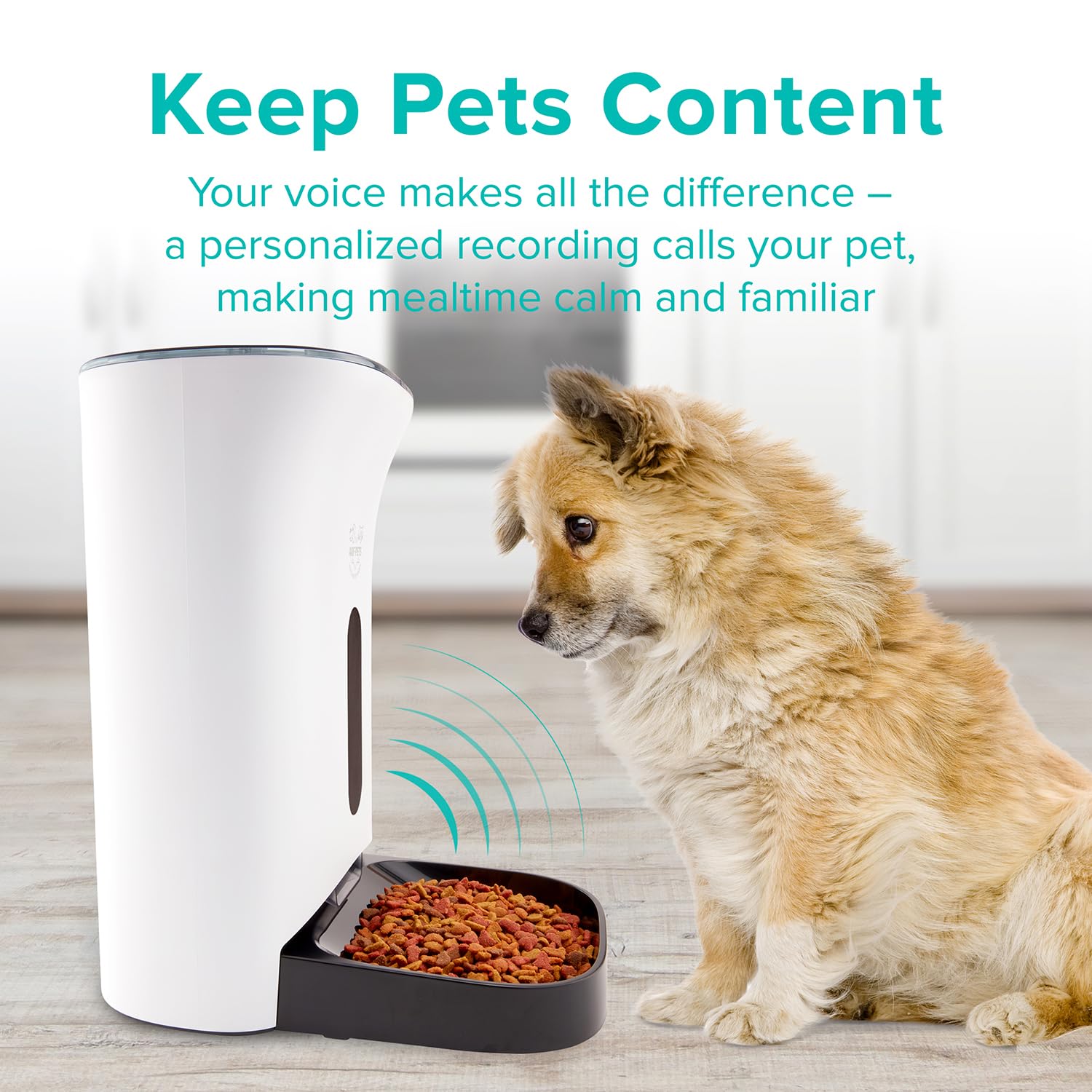 Arf Pets Automatic Pet Feeder Food Dispenser for Dogs Cats & Small Animals Features Distribution Alarms Portion Control & Voice Recording Timer Programmable Up to 4 Meals a Day product thumbnail 4
