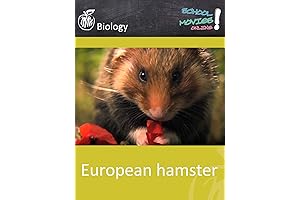 European Hamster Movie for School Biology Class: An Exciting Educational Adventure