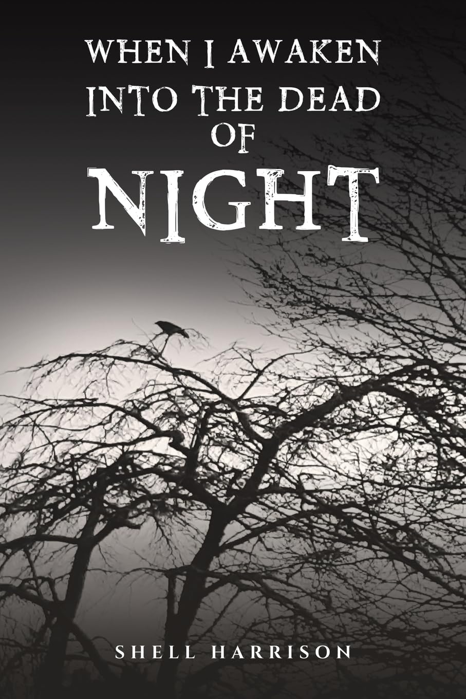 When I Awaken Into The Dead of Night by Shell Harrison (Paperback Book)