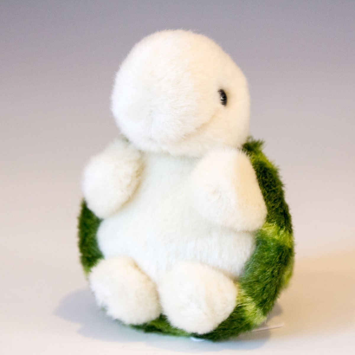 Amazon.co.jp: タケノコ(TAKENOKO) カメ座り グリーン : おもちゃ