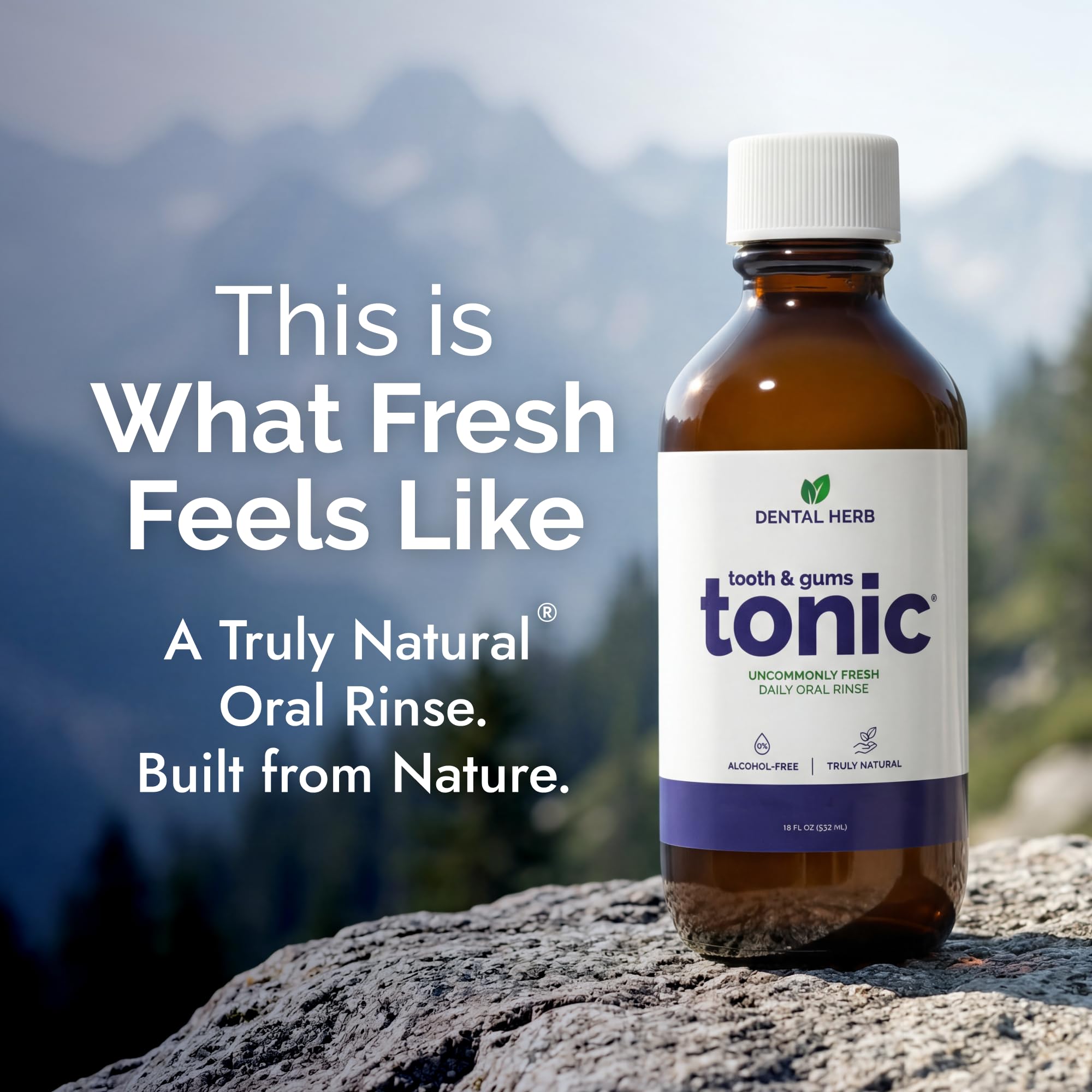Dental Herb Company Tooth and Gums Tonic - Value Pack 2 Bottles by Dental Herb Company