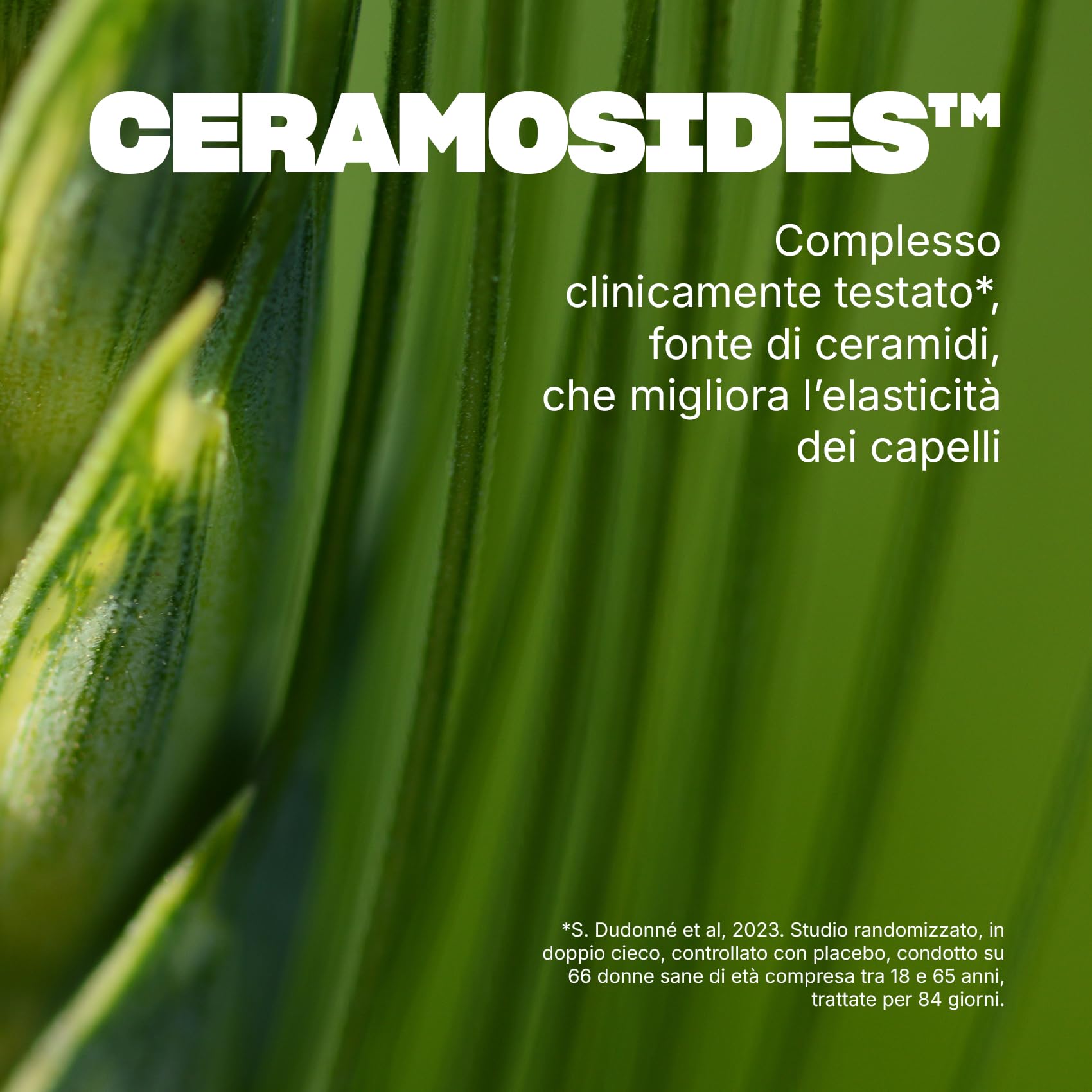 SWISSE Capelli Forti Donna 50+ - Integratore per Capelli Donna con Biotina Ceramosides Vitamina B6-30 Compresse, Pre-Menopausa e Menopausa Integratori Regolazione Attività Ormonale - Made in Italy