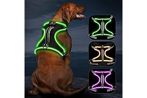 Vizbrite: The Illuminating Dog Harness for Safety and Adventure
