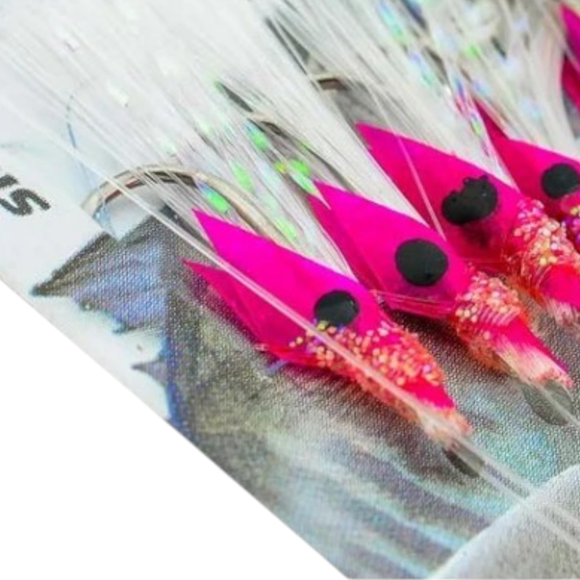 Set di 2 Sabiki Pelle di Pesce Rig - Set 10 Ami da Pesca N8 - Filo da Pesca Fluorocarbon DIA0,25mm - Fish Skin - Esche Artificiali - Esche da Pesca Mare per Sgombro - Pesca Accessori – Kit