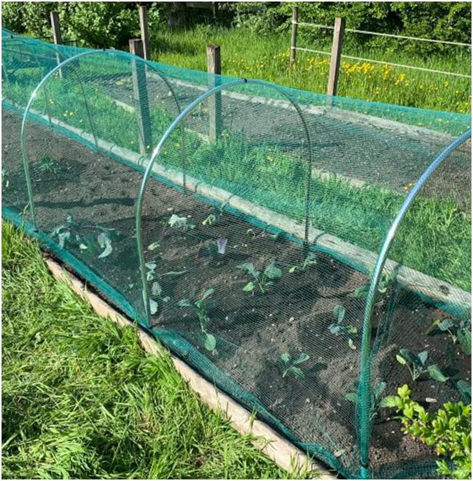 Filet En Maille Ultra Fine Pour Arbres Fruitiers, Plantes De Jardin, Cerf, Oiseaux, écureuils, Grande Couverture, Protège Les Agrumes Et Plus Encore Avec Cordon De Serrage (1,8 X 1,8 M