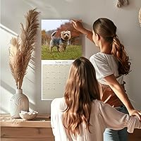 Vista 147 de Razas de Perros 2017