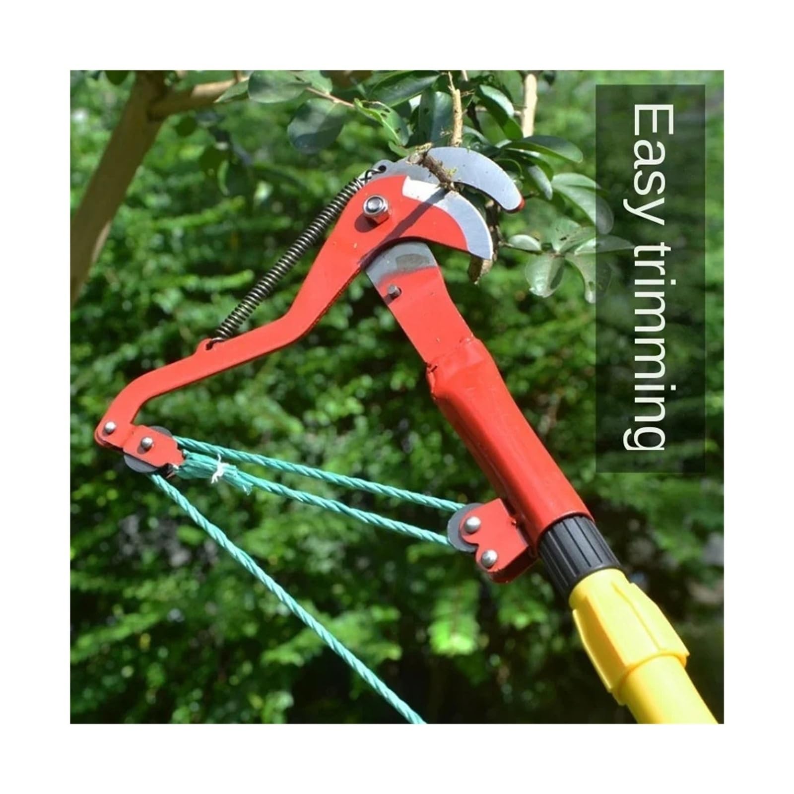 Tijeras telescópicas recolector de Frutas Ramas de Corte de Gran altitud poda Herramientas y Equipos de jardinería(Red-Double Wheels)