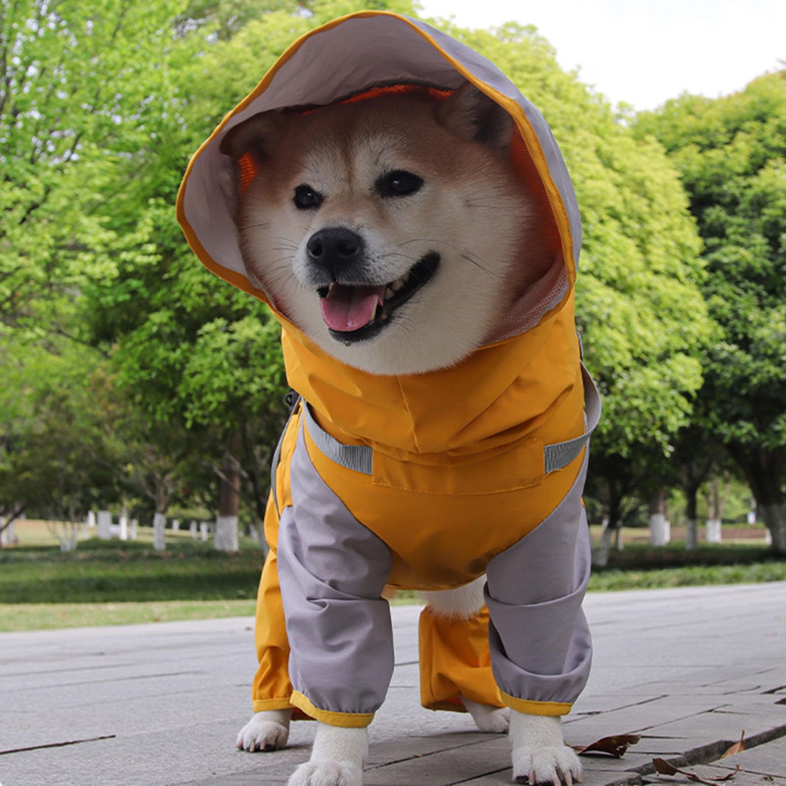 Amazon.co.jp: 耐候性犬用レインコート フード付きデザイン 防風保護 4