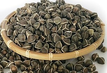 100 Moringa Seed - Oleifera Drumstick Seeds Non-GMO for Sprouting, Planting, Cooking. Unprocessed Seeds