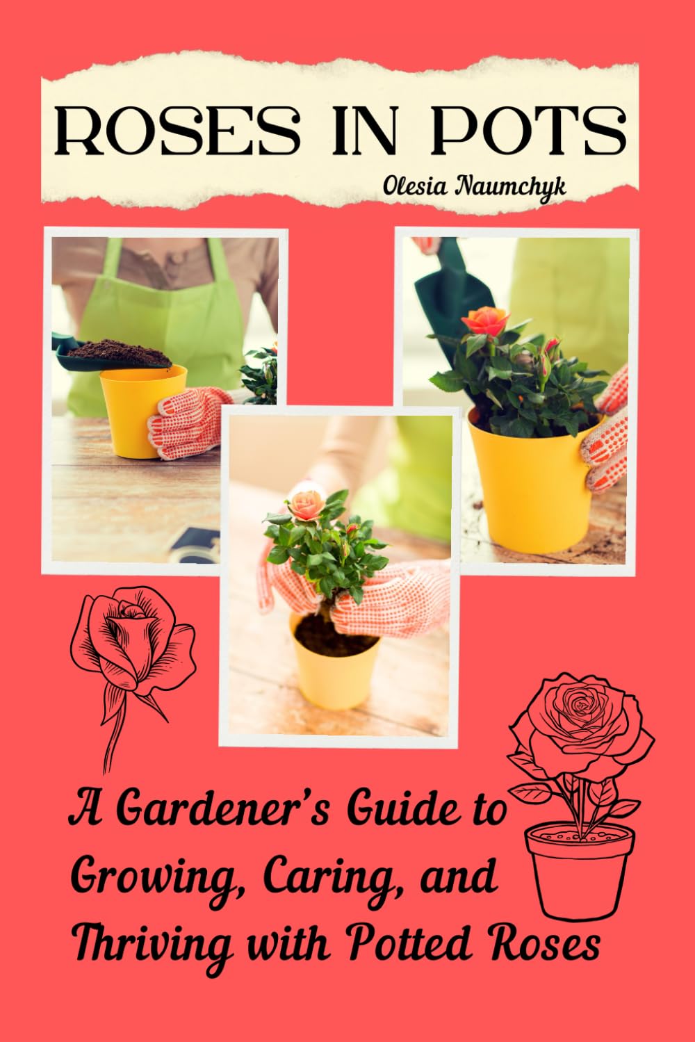 Roses in Pots: A Gardener’s Guide to Growing, Caring, and Thriving with Potted Roses