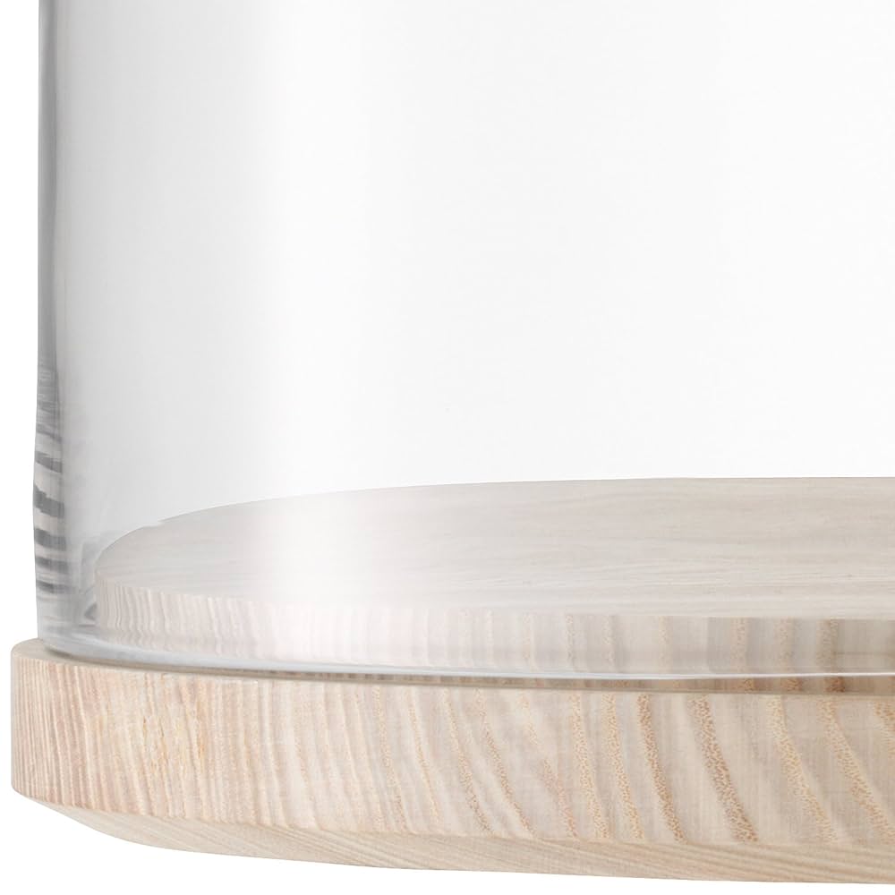 Amazon.com: LSA LW08 Lotta Cheese/Pastries Dome & Ash Base