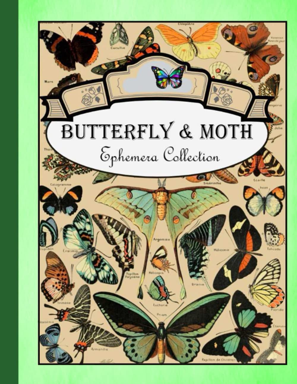 Butterfly & Moth Ephemera Collection: Vintage Butterfly Ephemera Book for Junk Journaling, DIY Scrapbook, Decoupage, Collage and Mixed Media Projects,(195+ Classic Colored Butterflies Images)
