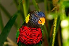 Review Image by Dillon S Dillon S