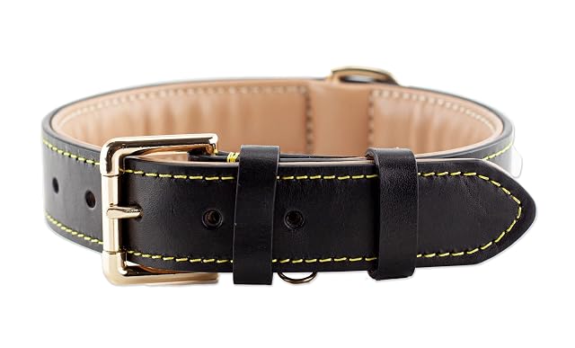 Foto 5 de 8 de Brute Strength Collar Perro Negro, Costuras Amarillas L · 46–53 x 3,5 cm