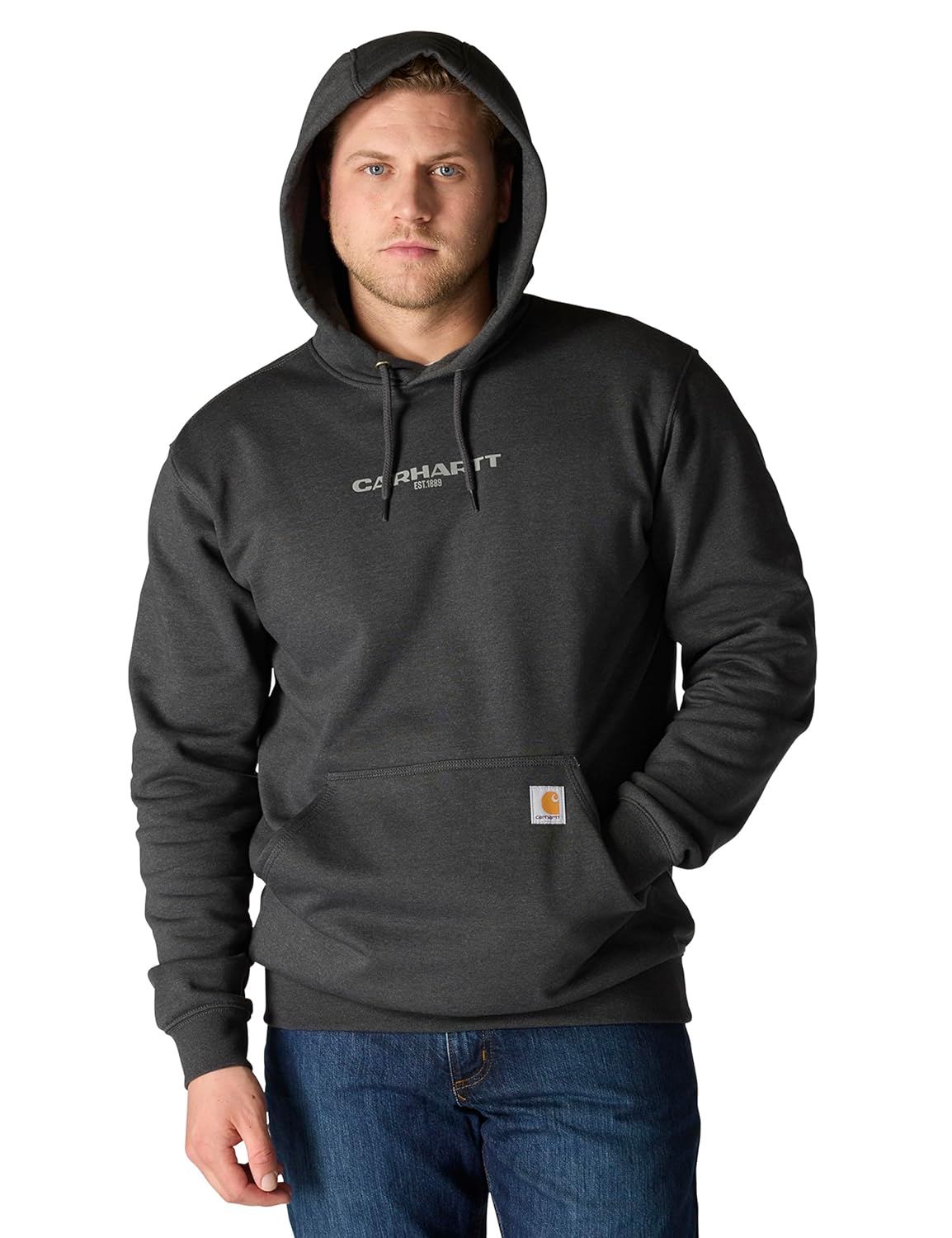 Carhartt Mens Rain Defender Loose Fit Midweight 1889 Graphic Sweatshirt