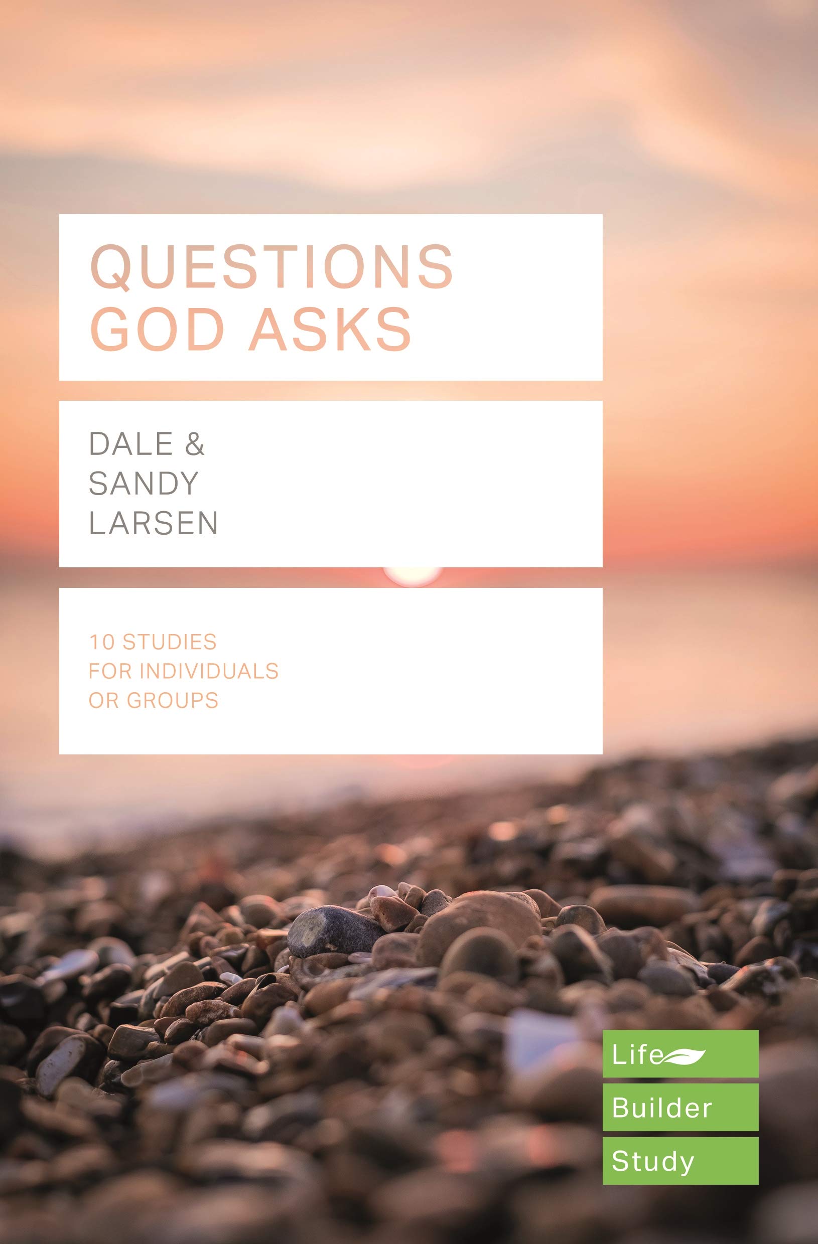 Questions God Asks (Lifebuilder Study Guides) (Lifebuilder Bible Study Guides)