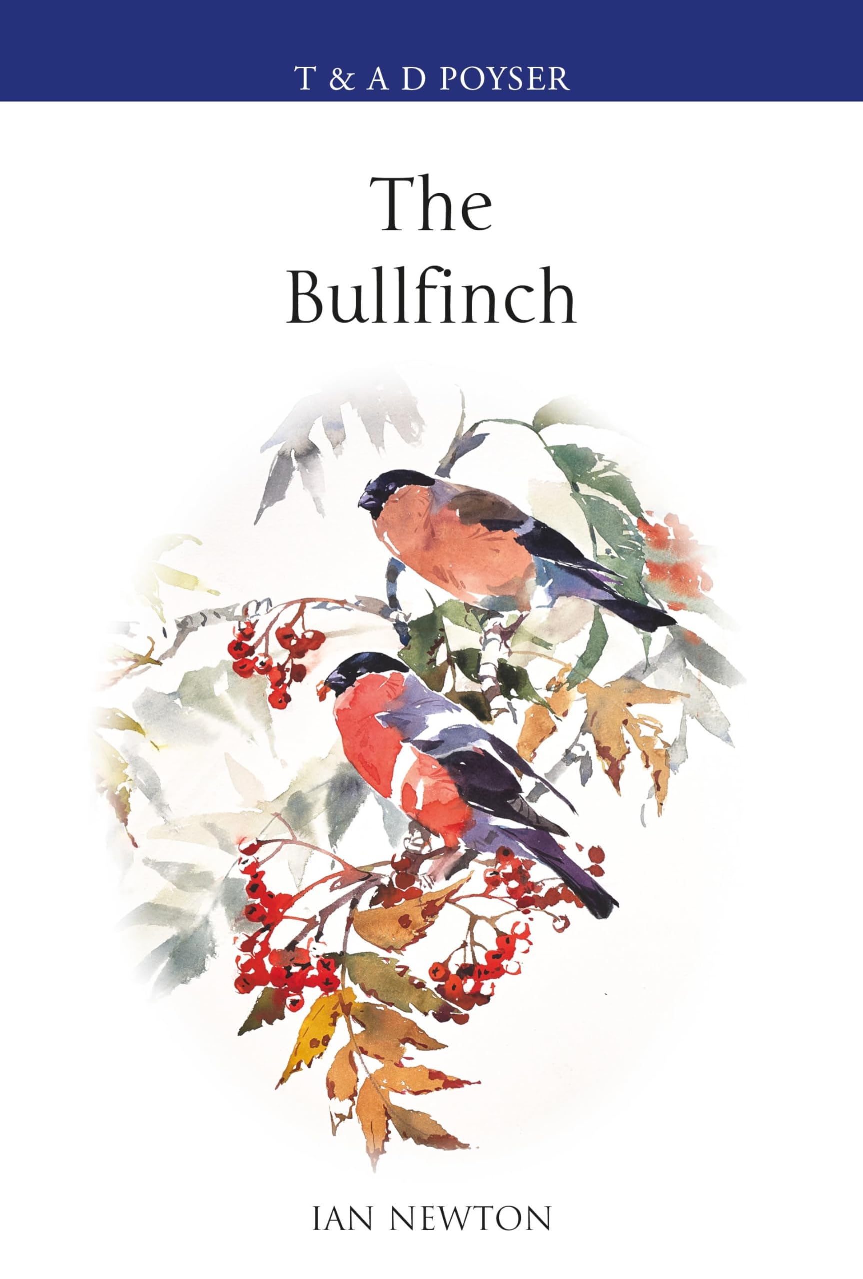 The Bullfinch (Poyser Monographs)