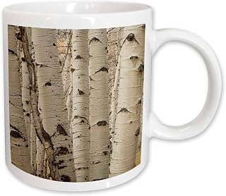 3dRose USA, Colorado. Aspens in Gunnison National Forest. 15oz Mug