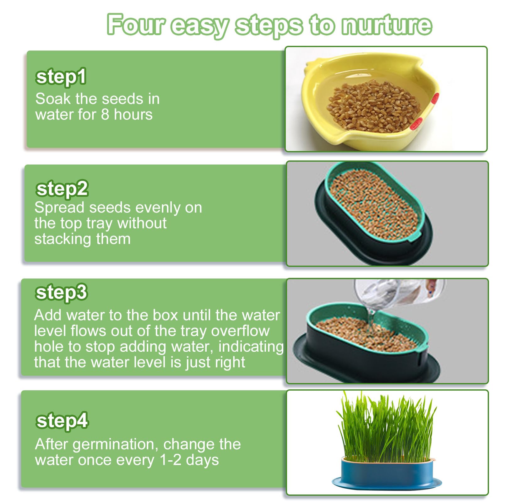 2 cuencos para plantas de hierba de gato, bandeja para hierba de gato, bandeja para gérmenes, bandeja de germinación, semillas, germinación, bandeja de germinación, bandeja de semillas para