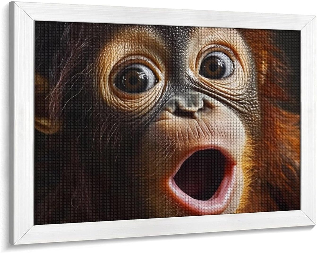 Orangutans Monkeys Big Face Printed Diamond 5D Painting Kits DIY Full Drill Crafts for Home Wall Decor 16x20 Inch White Wood 50 * 40cm
