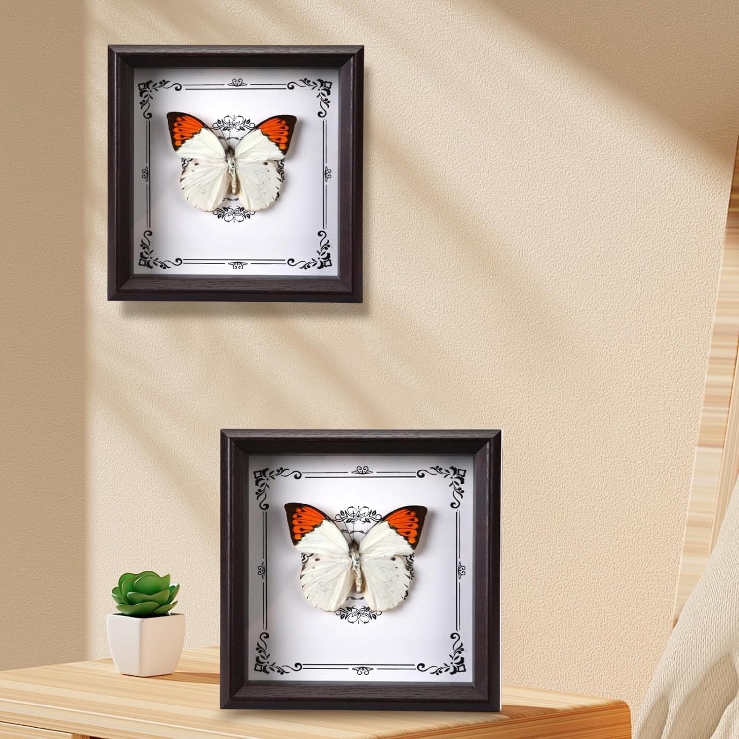 Handmade real butterfly frame, exquisite real butterfly decoration (crane top pink butterfly)