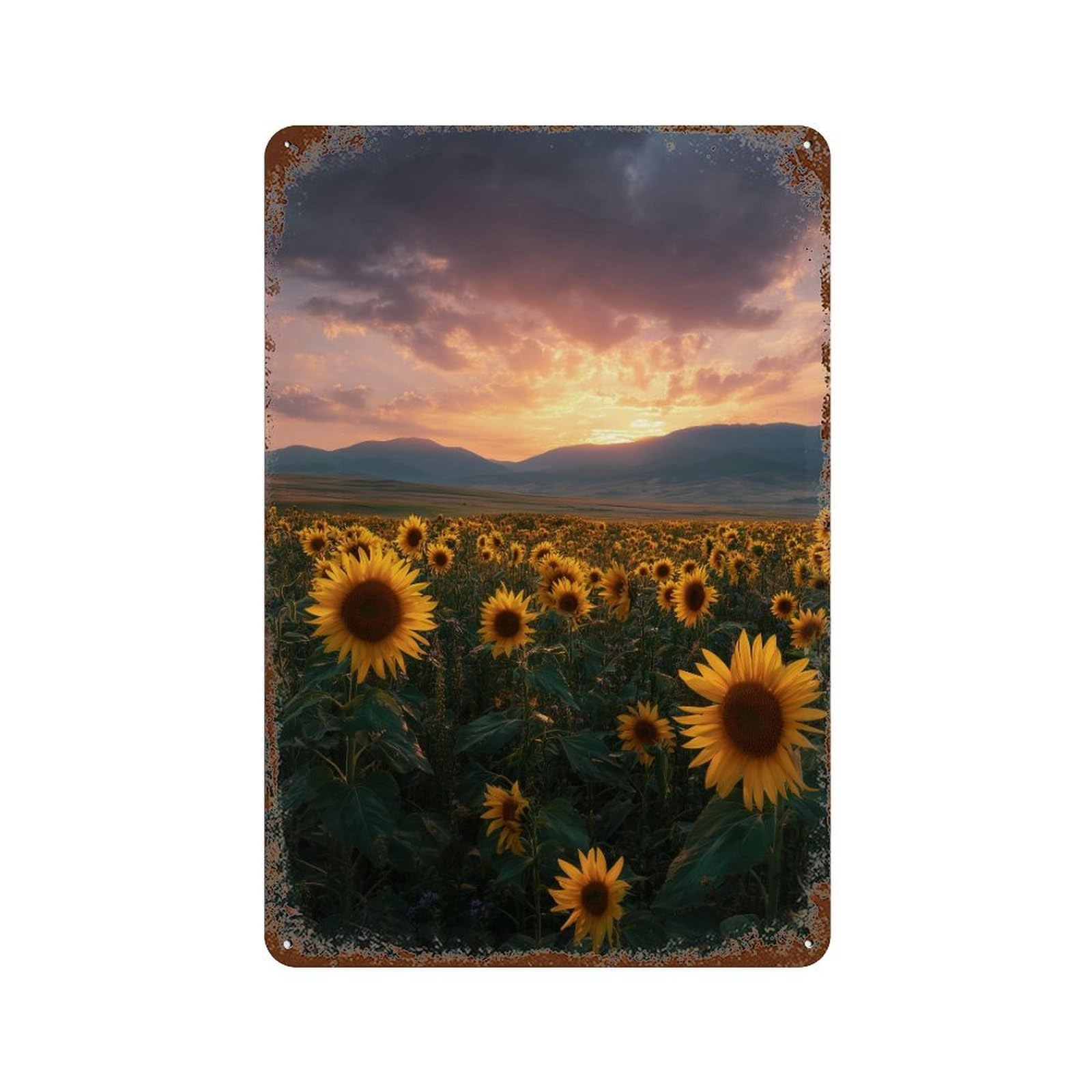 Vintage Metal Tin Sign Sunflower Field Sunset-7 11.8"x7.9", Classic Wall Plaque for Farmhouse, Kitchen And Entryway Decor