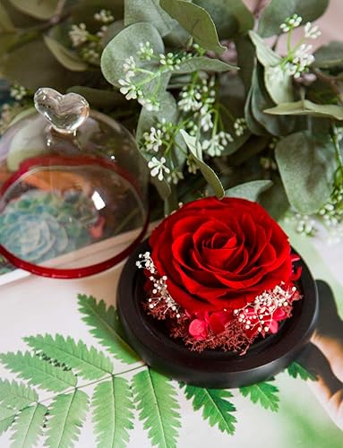 Vista 16 de DuHouse Forever White Roses - Caja de flores reales preservadas para San Valentín, cumpleaños, aniversario, día de la madre, Navidad (blanco)