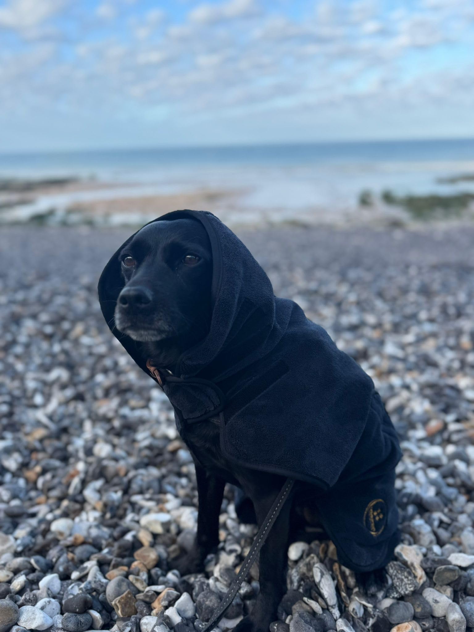 Urban Paws Collective® Luxury Dog Drying Coat, Drying Robe, Ultra Absorbent Microfibre Dog Bathrobe, Quick Dry, Covers Ears - Image 2