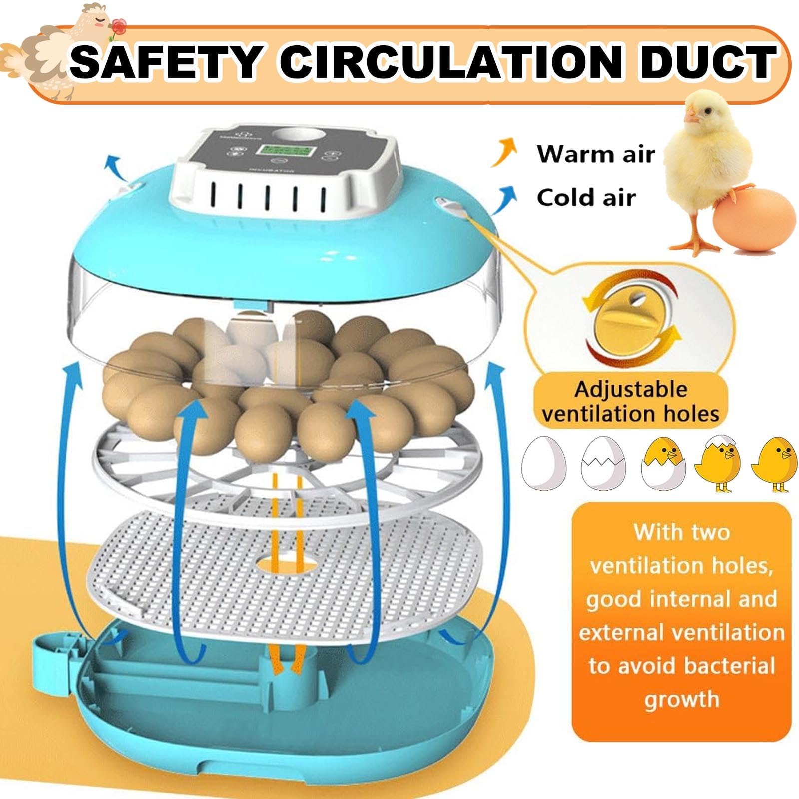 Incubadora Huevos Gallina - Incubadora AutomáTica De 22huevos Controles AutomáTicos De Temperatura Y Humedad HigróMetro Y Pantalla Led Digital, para Incubar Pollos, Codornices Y Patos