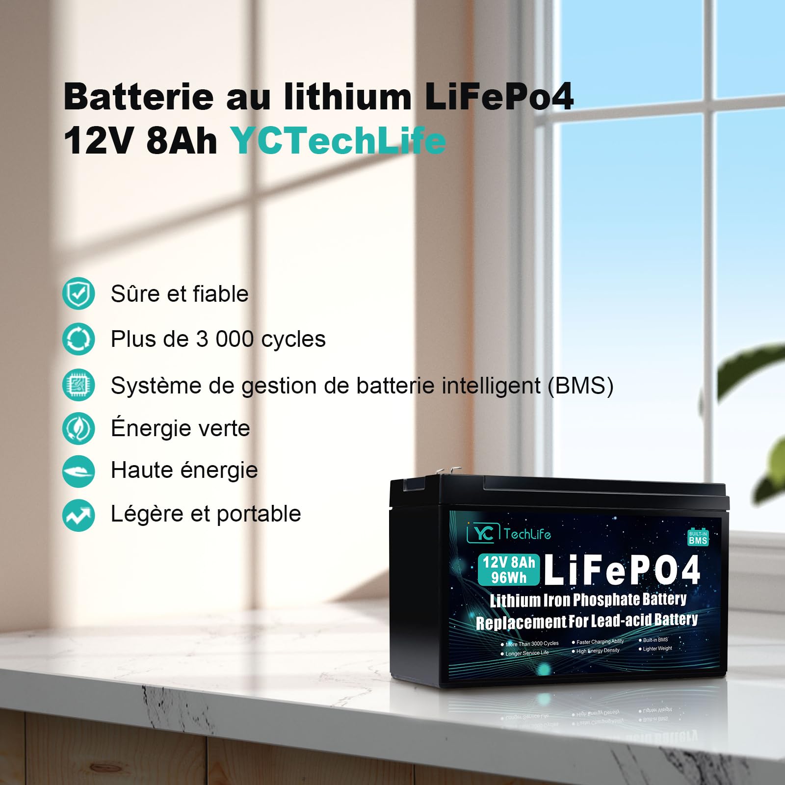 Batterie Lifepo4 12V 8Ah, Batterie Lithium Rechargeable à Décharge Profonde Pouvant Atteindre plus de 3000 cycles, BMS 10A intégré, utilisée pour l'énergie solaire/éolienne