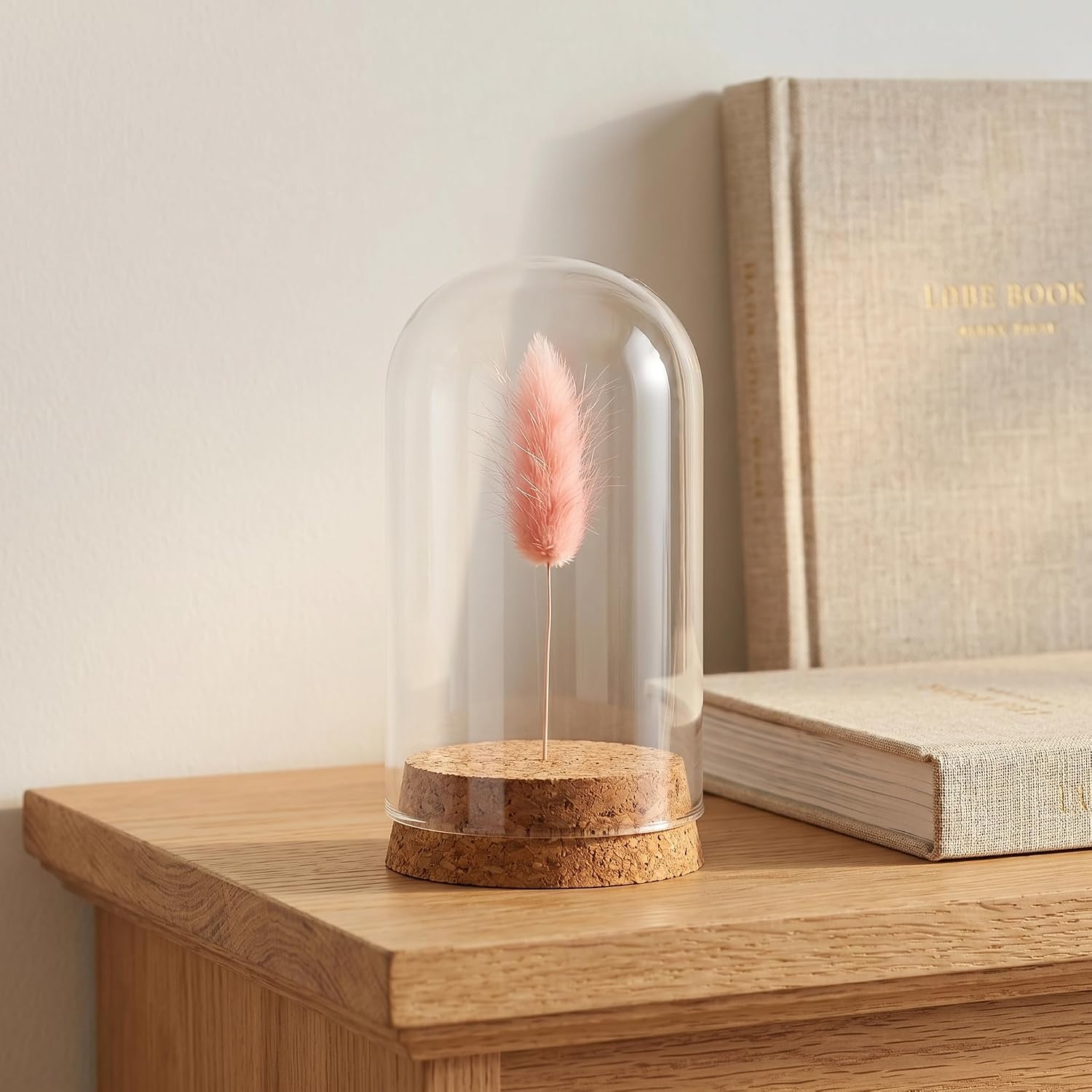 Angoily 5Pcs Cloche Glass Dome Display Cover with Cork Base Small Transparent Bell Jar for Eternal Flower Micro Landscape Terrarium Showcase Cloche for Miniature Collectibles