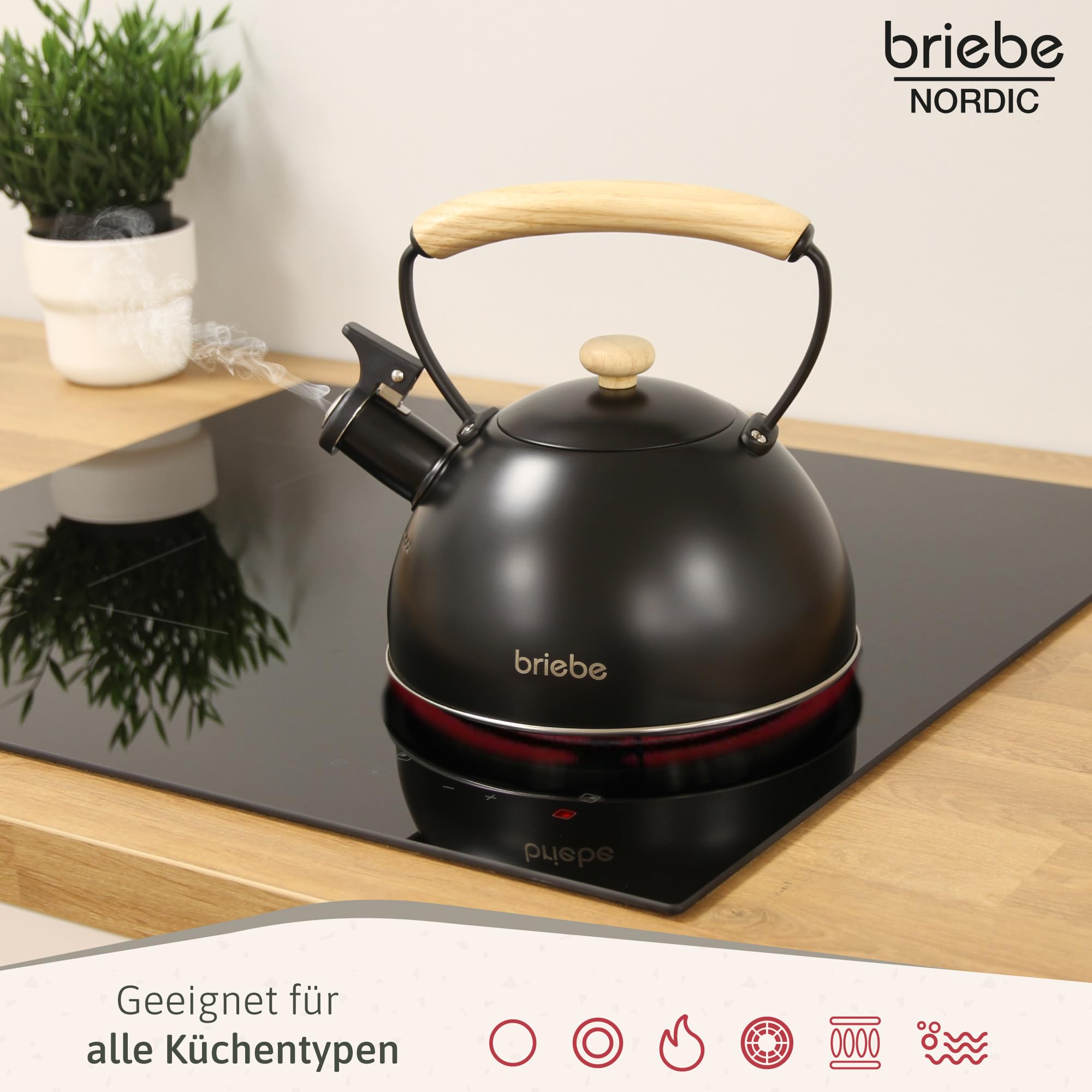 briebe Nordic Wasserkessel Induktion 2,3L, Flötenkessel, Edelstahl Teekessel Retro Alle Herdarten, GlasKeramikherd, Gas, Elektroherd, Holzgriff Cool-Touch, für Tee Kaffee, Tea pot, Schwarz