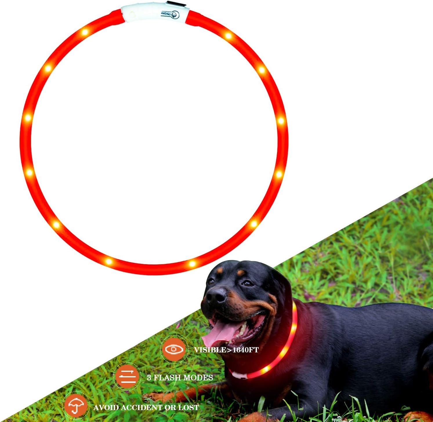 accendere il collare per cani di piccola taglia