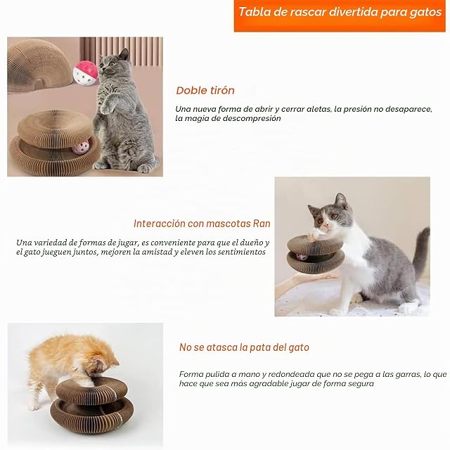 Foto 5 de 8 de Pjjrdh Kitty Kurlz,Kitty Kurlz Cats Toy