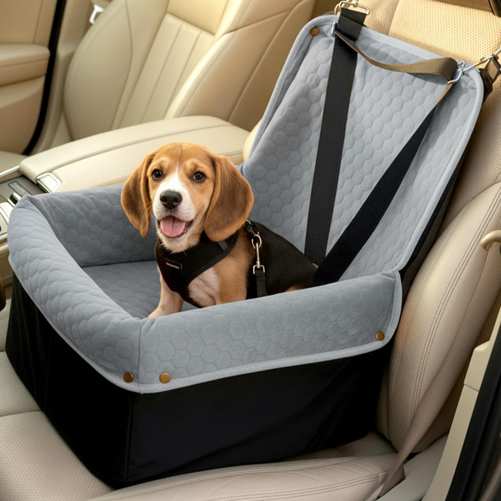 Dog Car Seat for Small Medium Dogs, Travel Pet Car Bed with Removable Waterproof Cover, Memory Foam Dog Booster Seats Up to 35 lbs, Safety Belt and Storage Pocket(Gray)