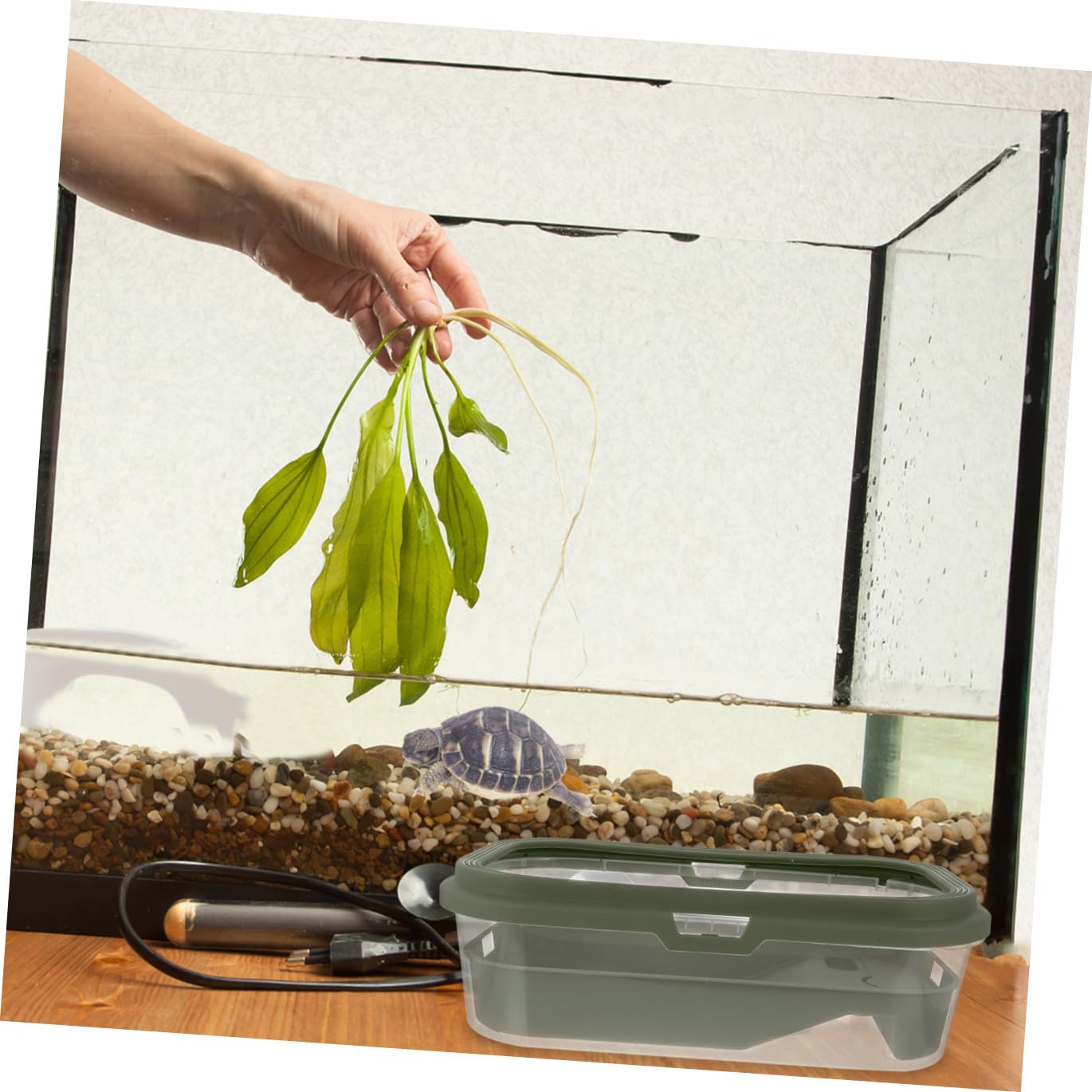 Serbatoio per Tartarughe Grande in Plastica Verde con Terrazza e Rampa, Terrario Creativo per Tartarughe d'Acqua e Rane in Casa