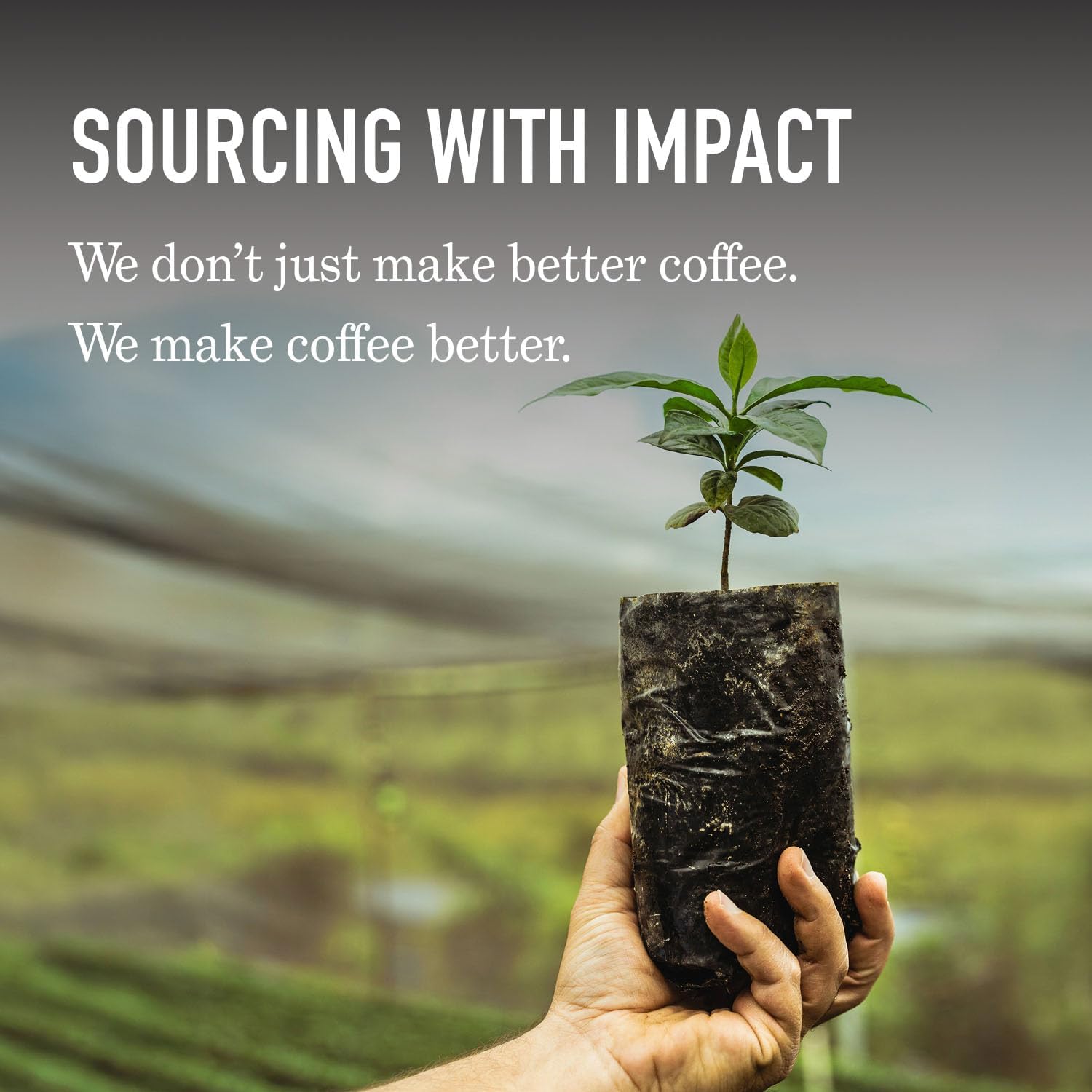 , Medium Roast Ground Coffee, Araa Coffee - Off the