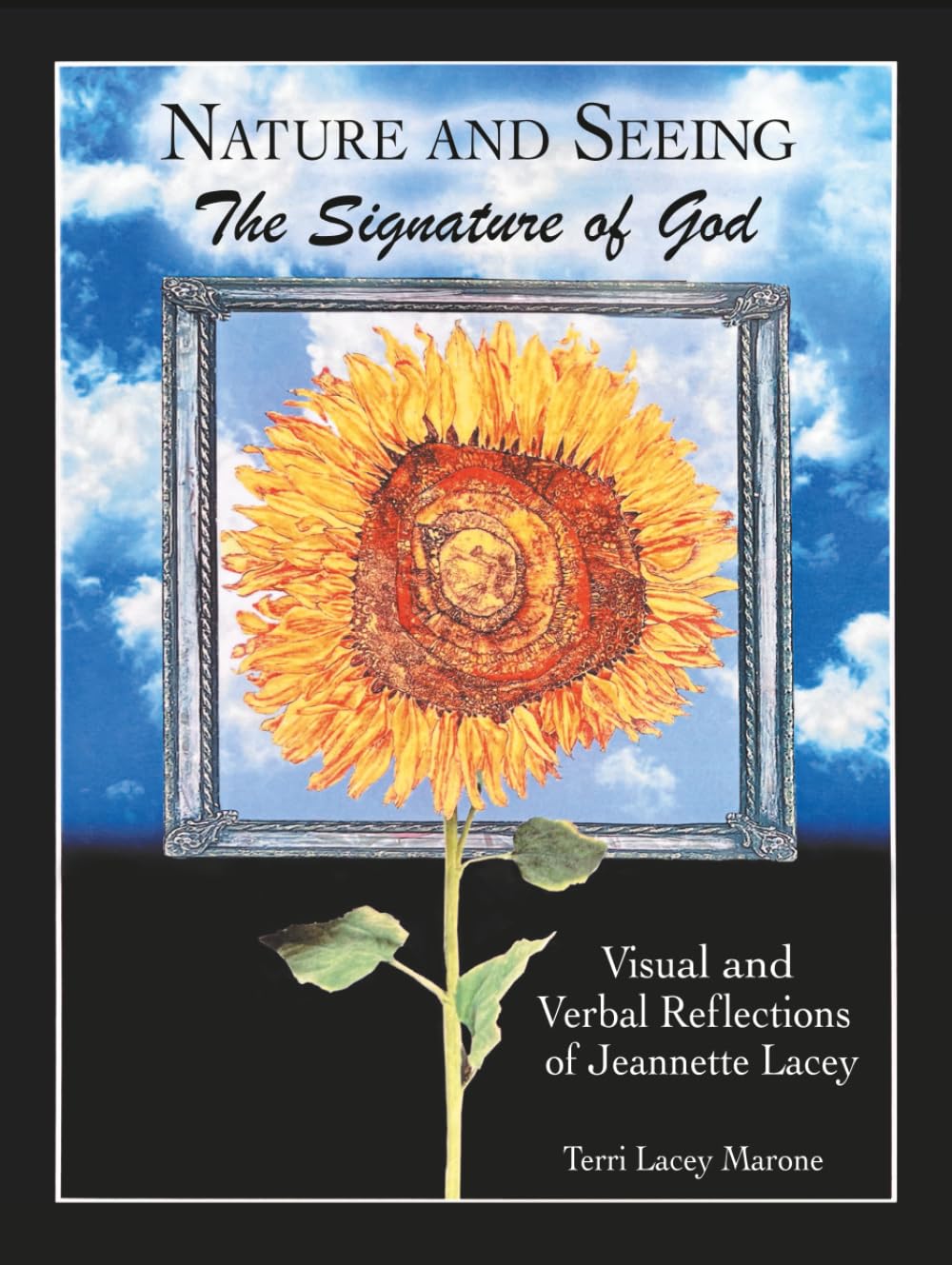 Livre Nature and Seeing par Jeannette Lacey : un recueil d'art et de réflexions spirituelles